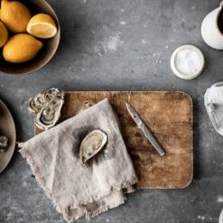 Global GSF GSF-18 Shellfish Knife 5cm 14 Global GSF GSF-18 Shellfish Knife 5cm -Knives Shop global gsf gsf 18 shellfish knife 5cm p545 12367 image