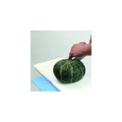 Hasegawa FYS-5025 Non- Slip Mat 500 X 250 Mm -Knives Shop hasegawa fys 5025 non slip mat 500 x 250 mm p1747 9685 image